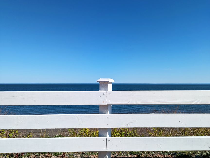 White vinyl privacy fence