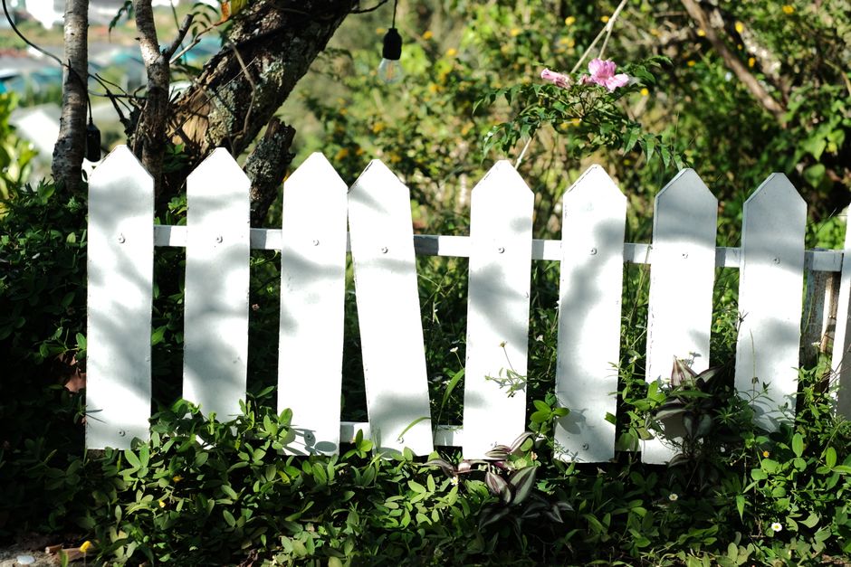 White picket fence surrounded by greenery