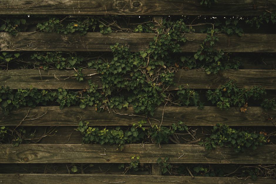 Wooden garden fence