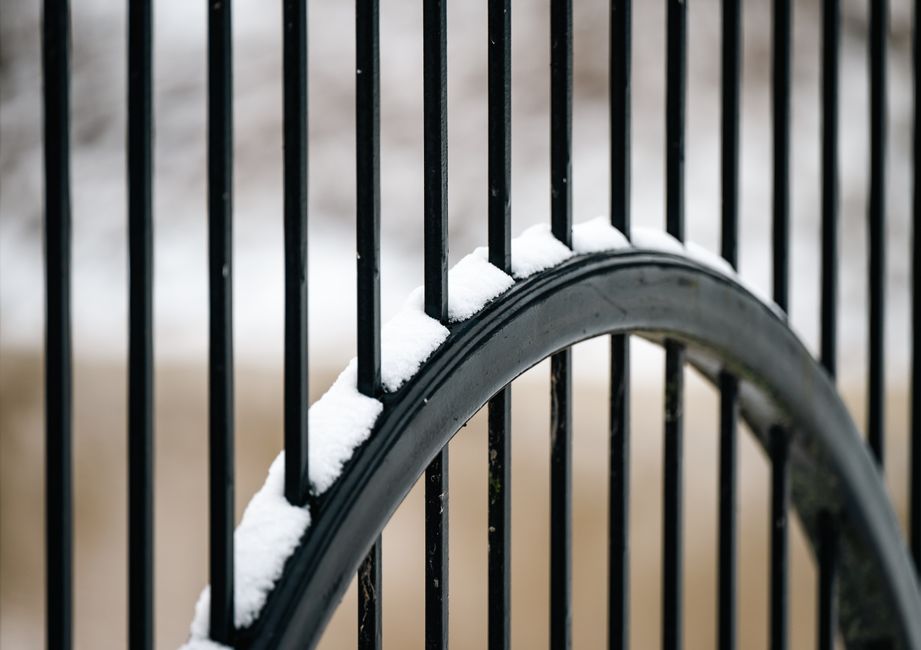 Ornamental black iron fence with a gate