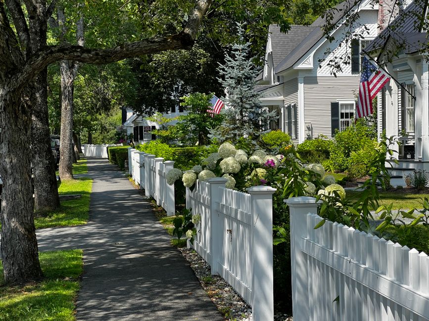 White vinyl fence at a home