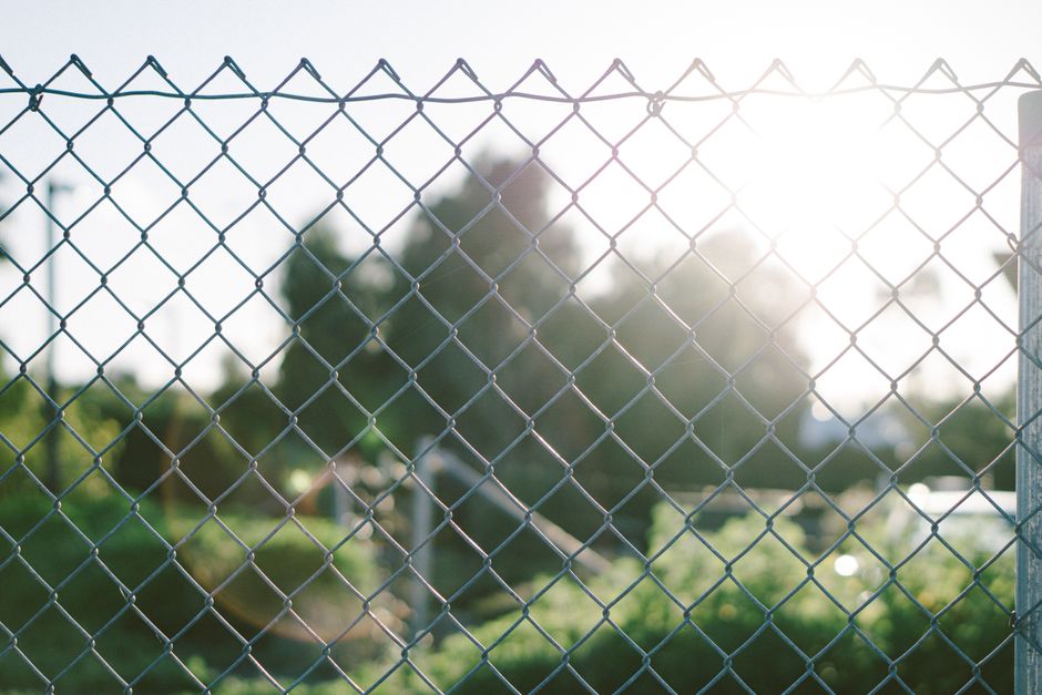 Chain link fence in a backyard