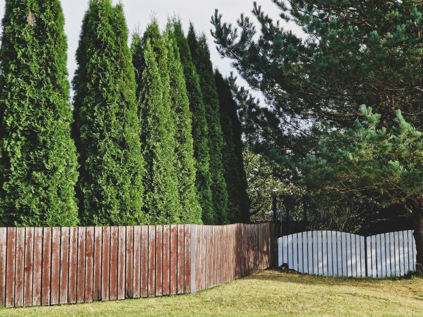 Wood privacy fence in a yard