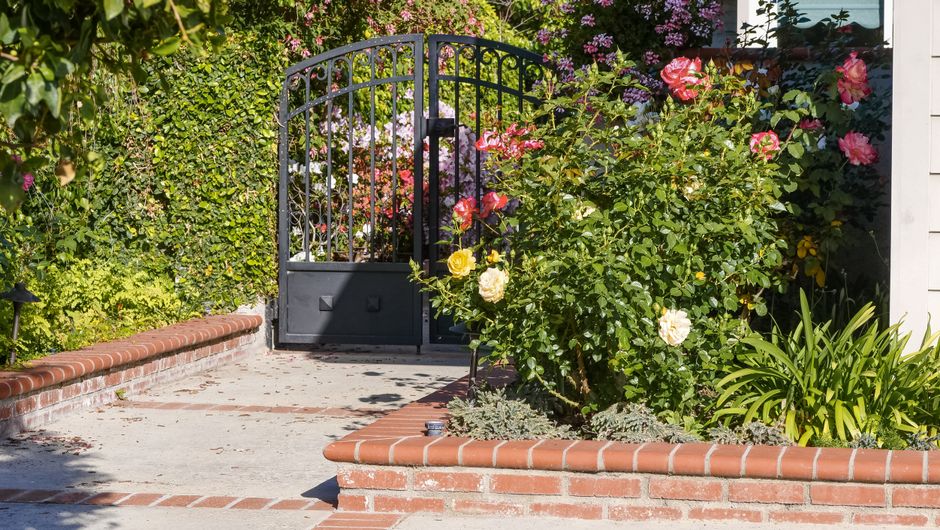 Black ornamental metal gate set in a garden hedge