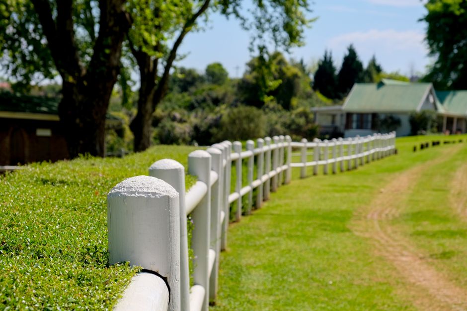 White vinyl privacy fence