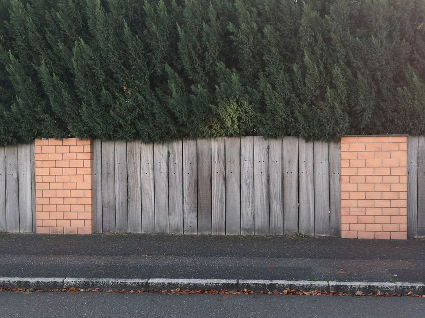 Cedar wood privacy fence