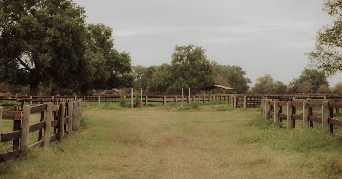 Ranch style fence