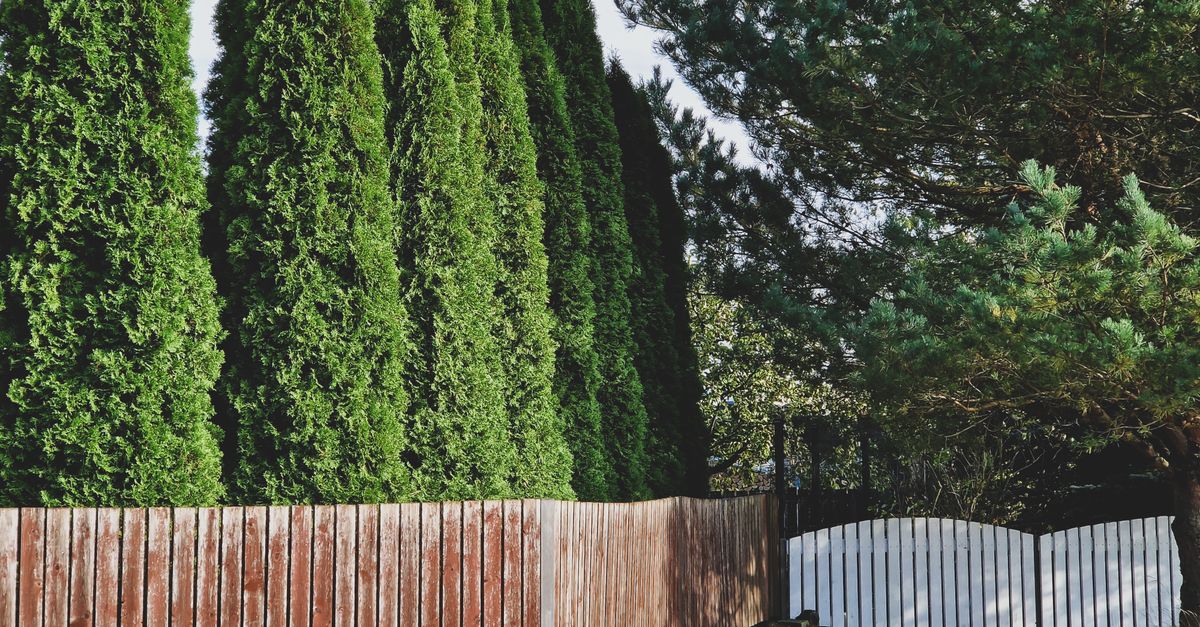 TurnKey Fences project in New Orleans